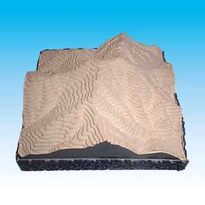 ���������x